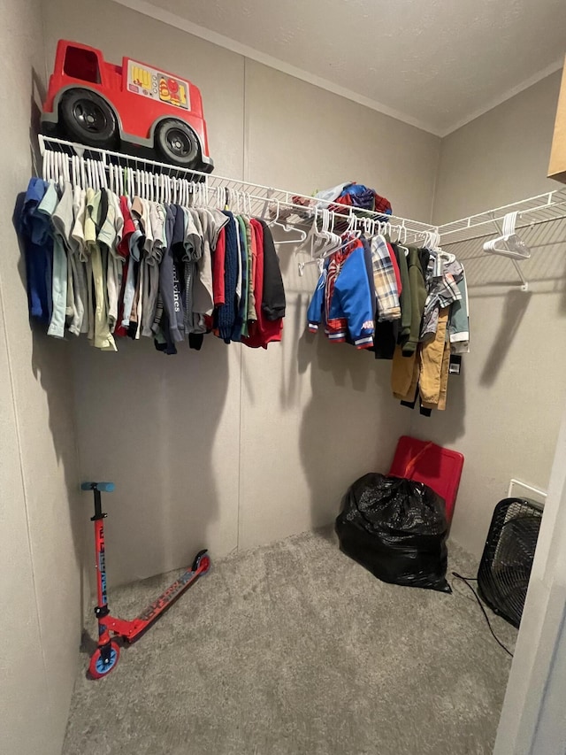 walk in closet with carpet floors