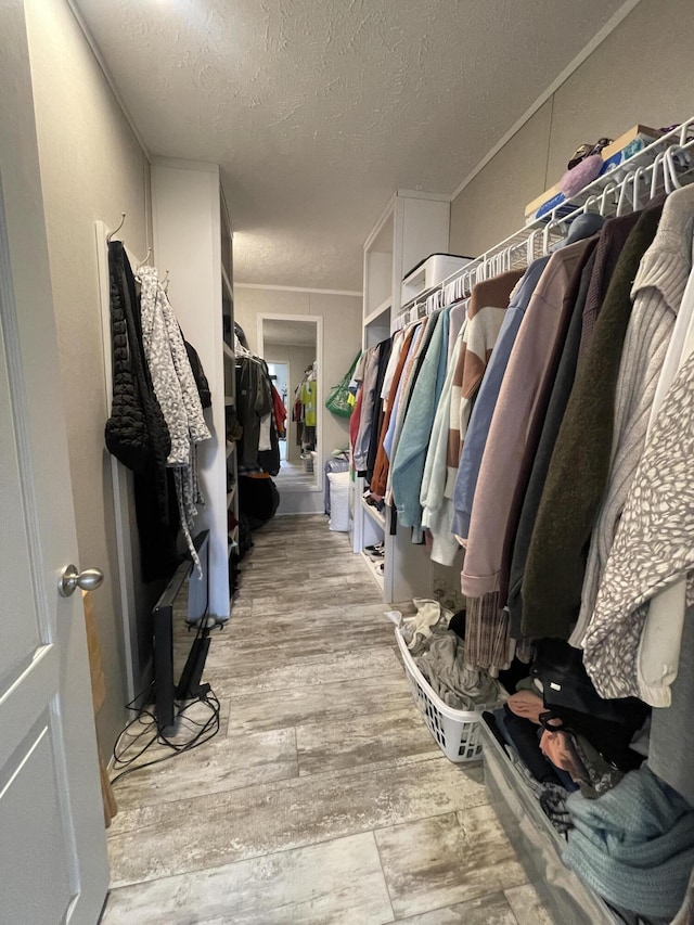 walk in closet with light wood-style flooring