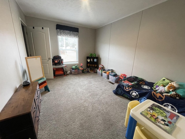 playroom with a textured ceiling and carpet