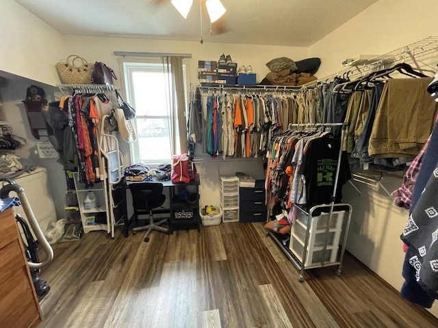 spacious closet with ceiling fan and dark wood finished floors