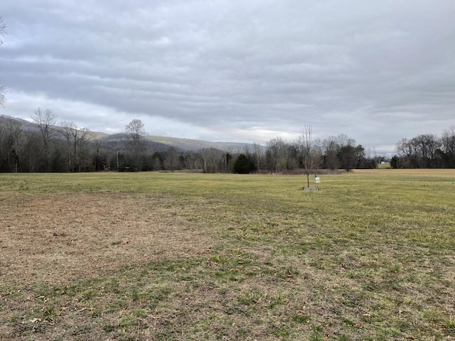 view of yard featuring a rural view