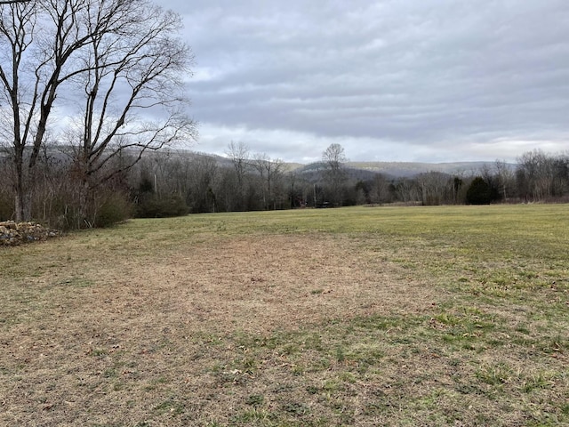 view of local wilderness featuring a forest view and a rural view