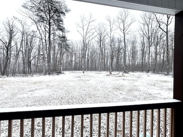 view of snowy yard