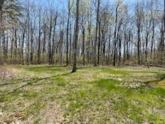 520 Gray Rock Vw, Pikeville, TN 37367 - photo 7