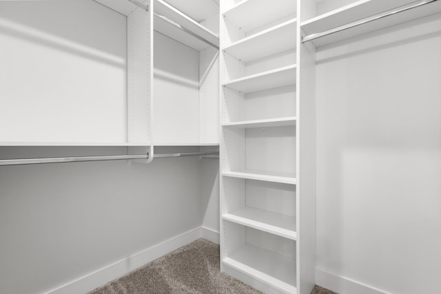 walk in closet featuring carpet floors