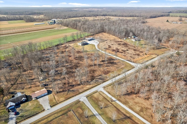 drone / aerial view featuring a rural view