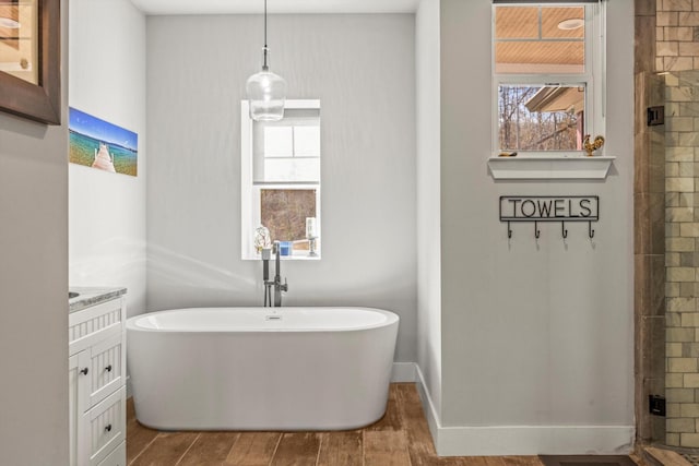 bathroom featuring a freestanding tub, plenty of natural light, vanity, and wood finished floors