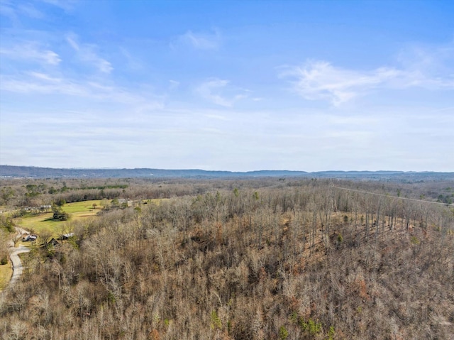 property view of mountains with a rural view