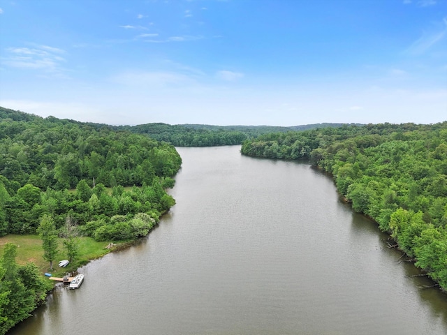 aerial view with a forest view and a water view