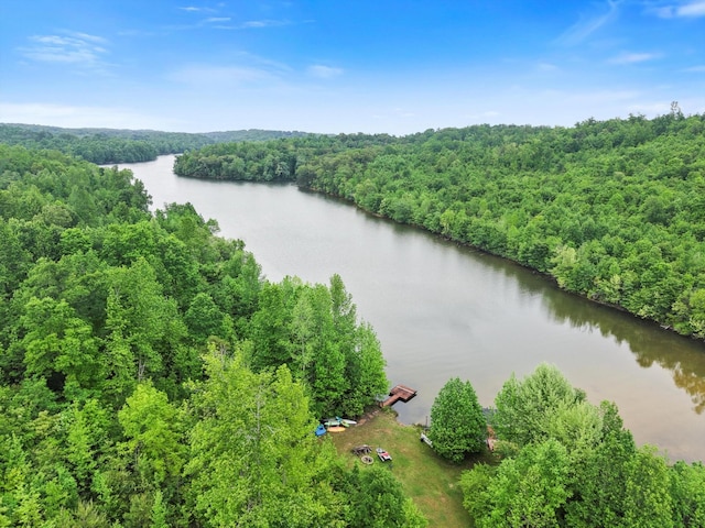 drone / aerial view featuring a water view and a view of trees