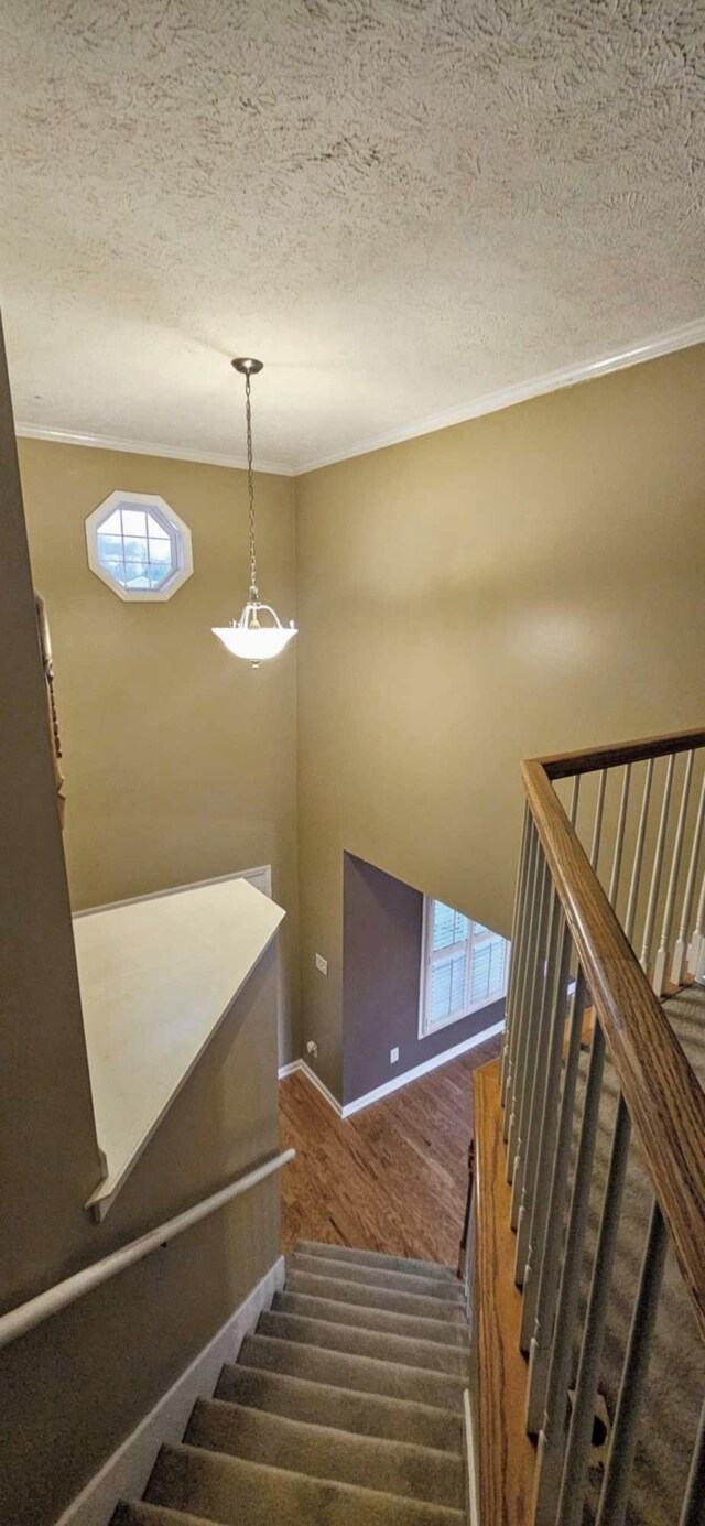 3412 Heatherwood Trce, Clarksville, TN 37040 - photo 25