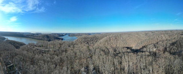 0 Crestview Dr, Sparta, TN 38583 - photo 10