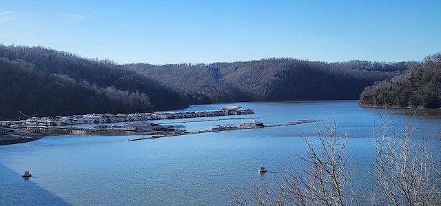 0 Crestview Dr, Sparta, TN 38583 - photo 7