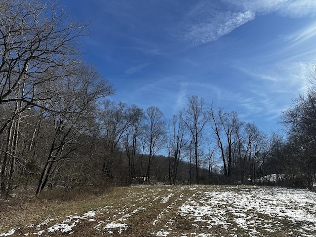 0 Rye Loop, Erin TN, 37061 land for sale