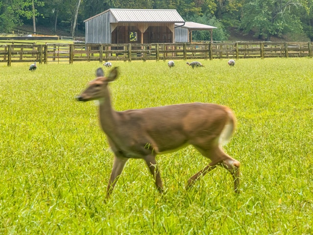 2864 Sawyer Bend Rd, Franklin, TN 37069 - photo 88