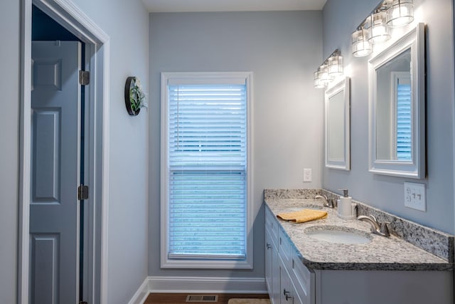 bathroom with visible vents, a sink, baseboards, and double vanity