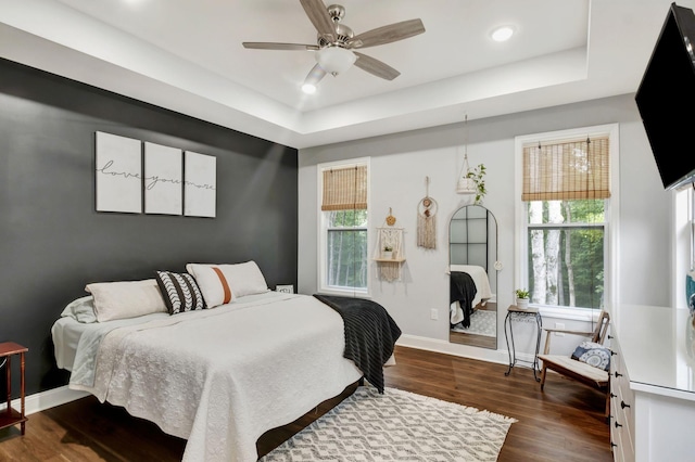 bedroom featuring dark wood-style floors, multiple windows, and a raised ceiling