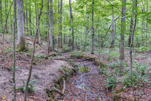 view of nature with a forest view