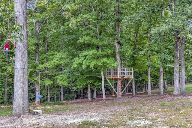 view of yard featuring a wooded view