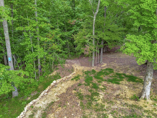 view of yard with a wooded view