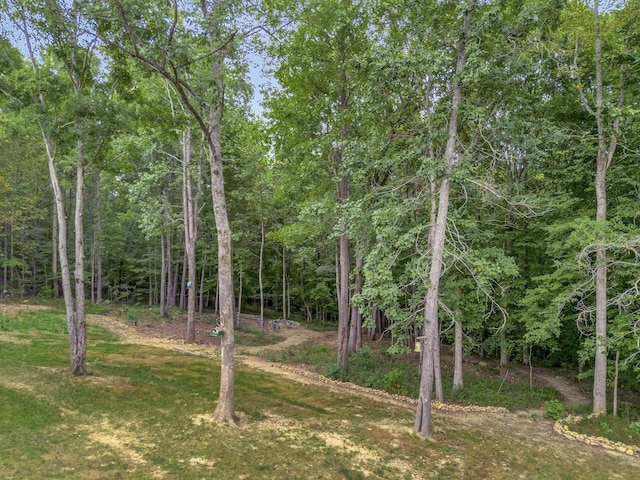 view of local wilderness with a wooded view