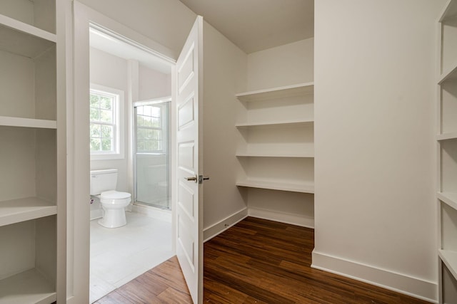 spacious closet with dark wood finished floors