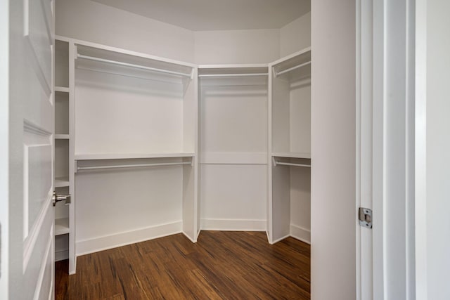 walk in closet featuring dark wood-style floors