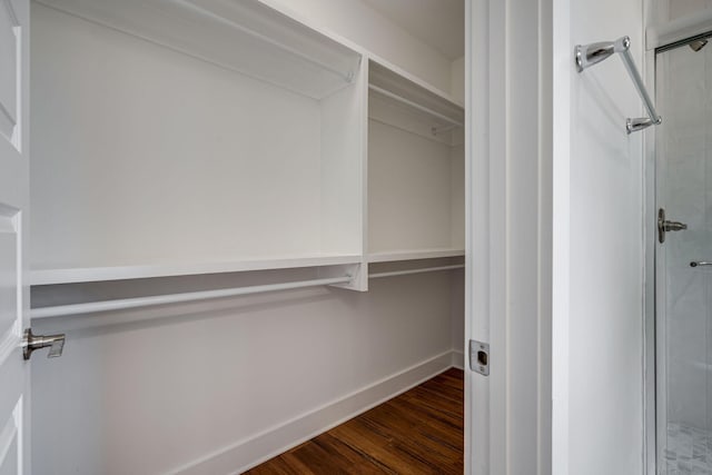 spacious closet featuring wood finished floors