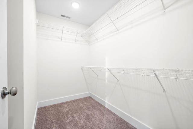 spacious closet with carpet floors and visible vents