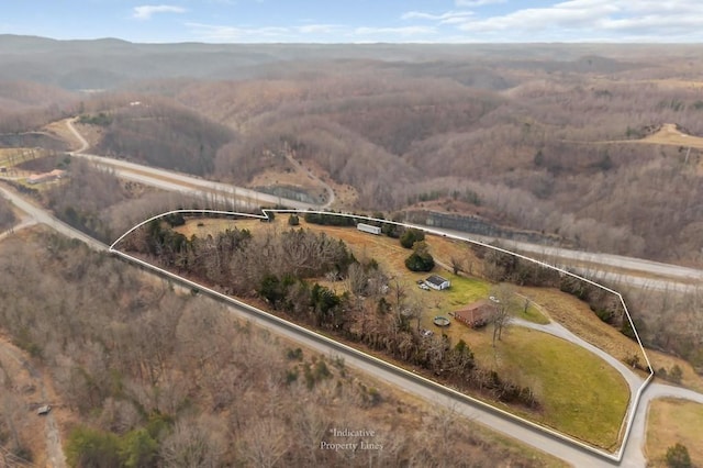 aerial view with a mountain view