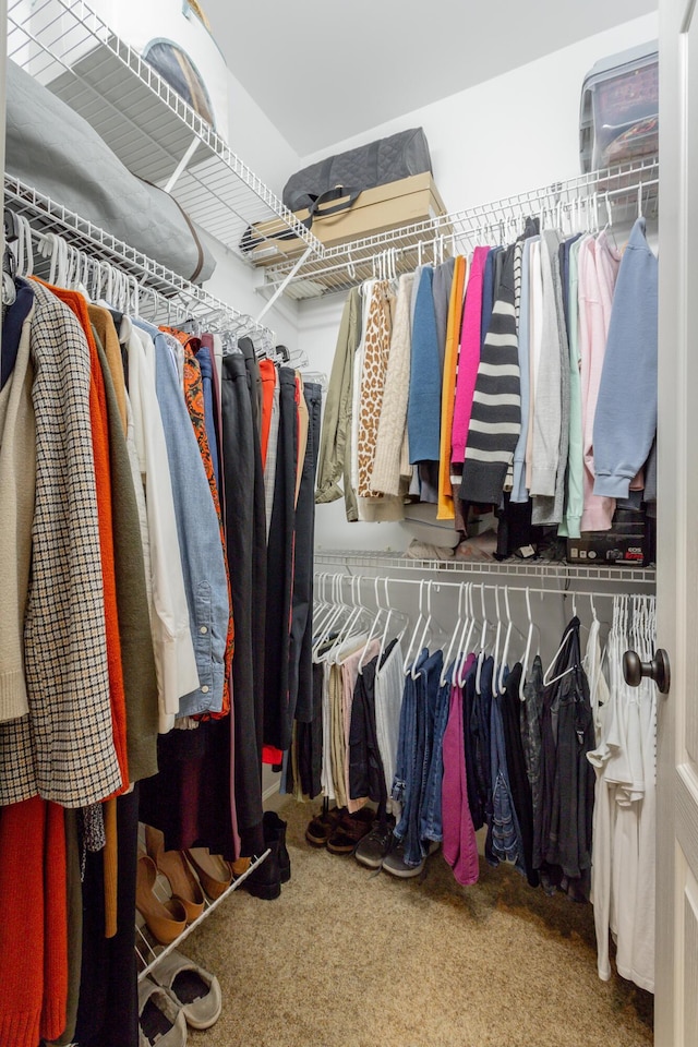 spacious closet with carpet