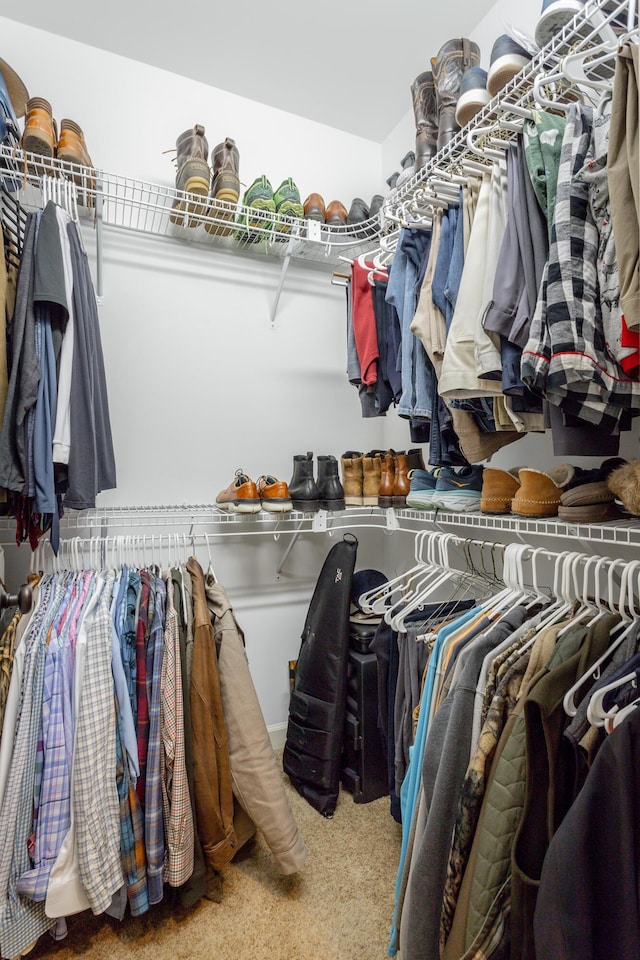 walk in closet featuring carpet