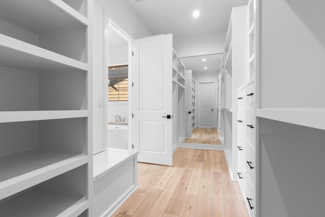 walk in closet with light wood-type flooring