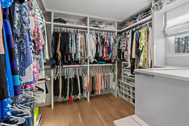 walk in closet featuring light wood-style floors