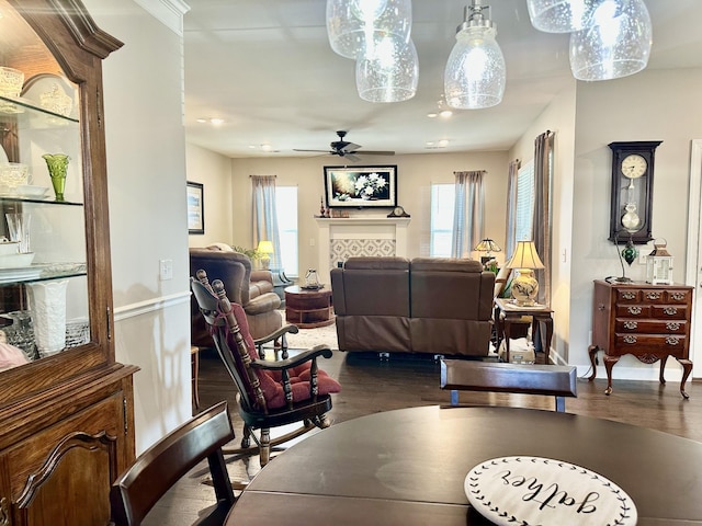 living area featuring ceiling fan, dark wood-style flooring, and a fireplace