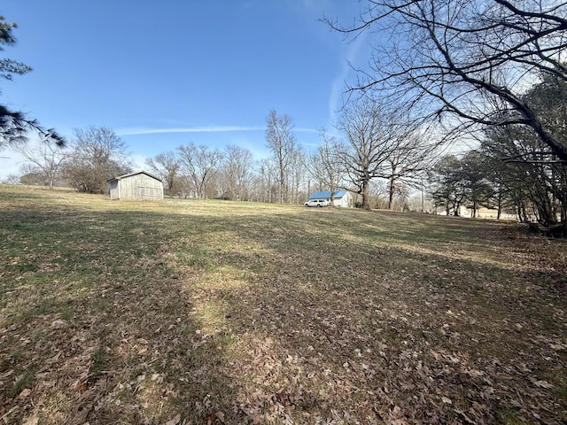 view of yard featuring an outdoor structure and a storage shed