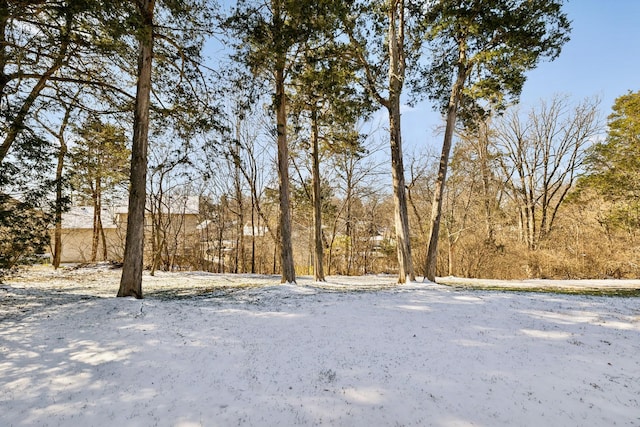 view of yard covered in snow