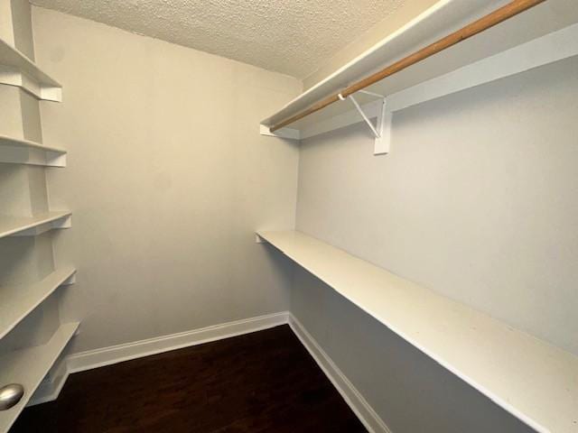 spacious closet with wood finished floors