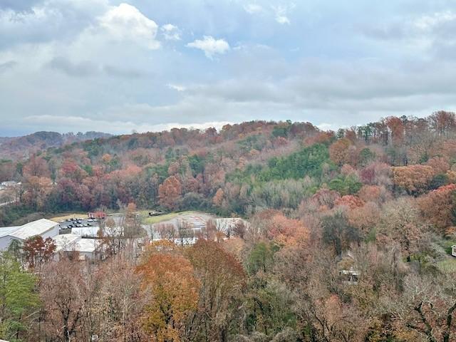 view of mountain feature with a wooded view