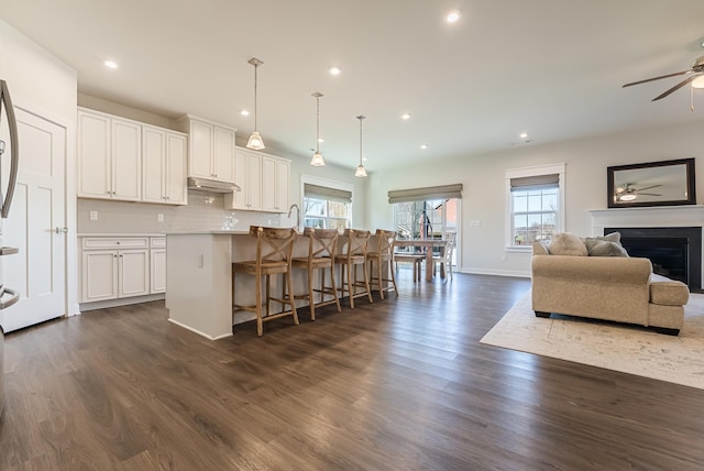 kitchen with under cabinet range hood, white cabinetry, open floor plan, and dark wood finished floors