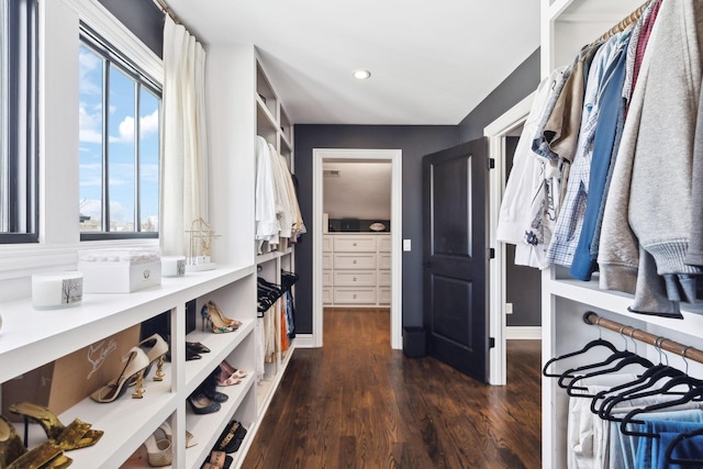 walk in closet with dark wood finished floors