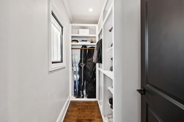 spacious closet featuring dark wood finished floors