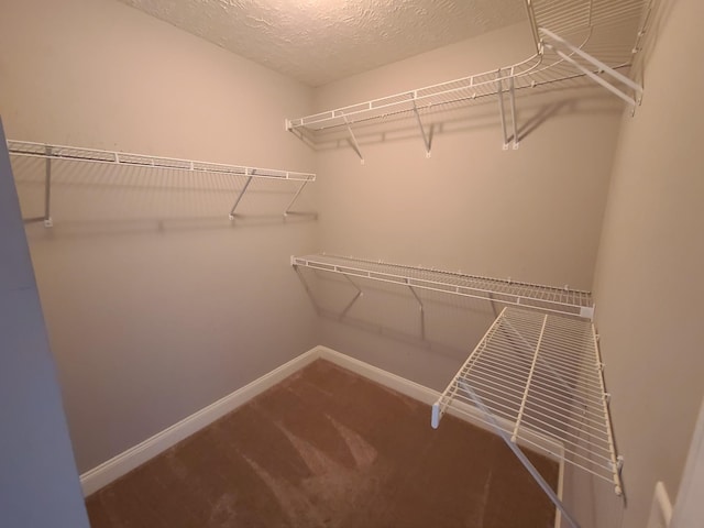 spacious closet featuring carpet flooring