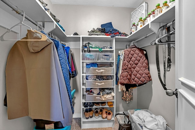 view of walk in closet