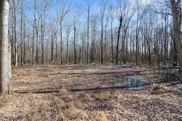 view of local wilderness