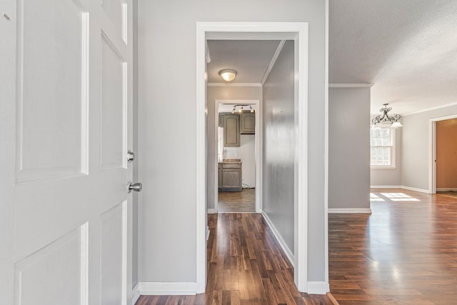 corridor with a textured ceiling, baseboards, dark wood finished floors, and crown molding