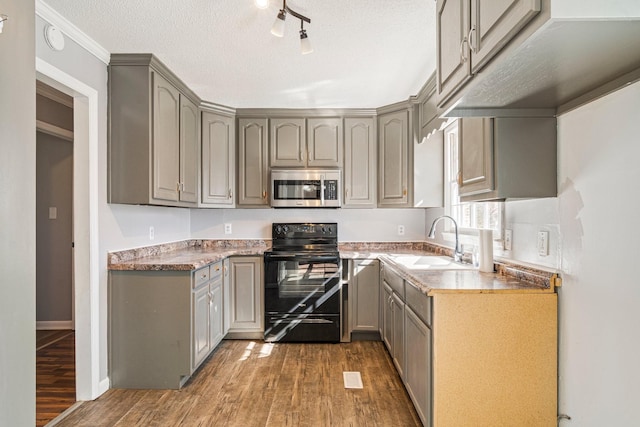 kitchen with black range with electric cooktop, a sink, gray cabinets, stainless steel microwave, and dark wood finished floors