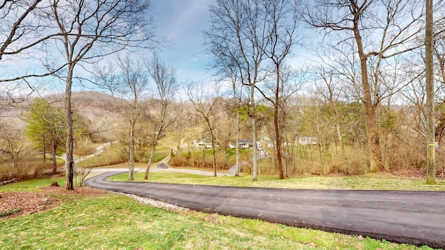view of road