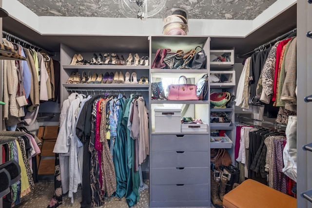 view of spacious closet