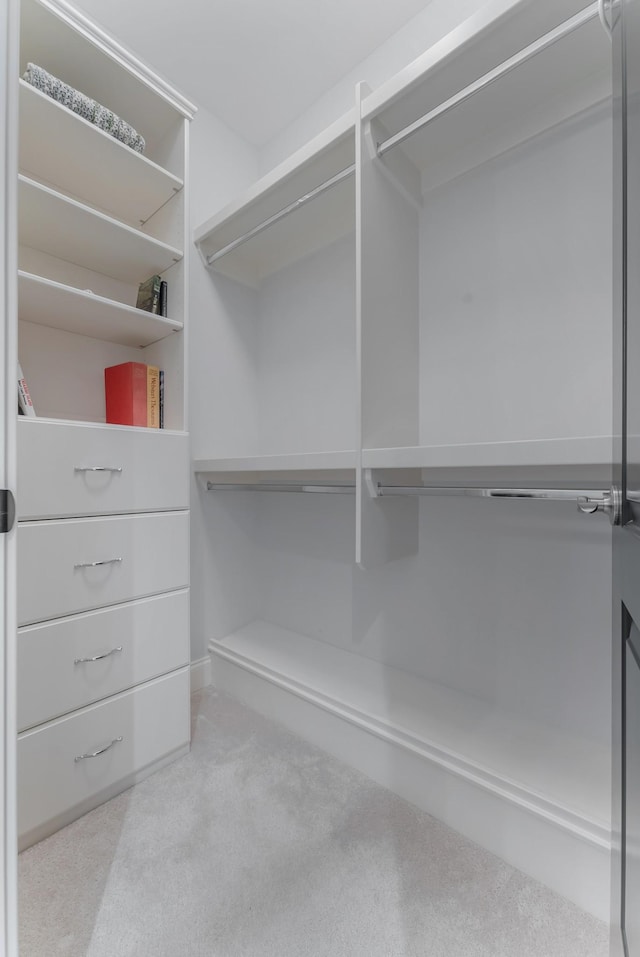 spacious closet with light colored carpet